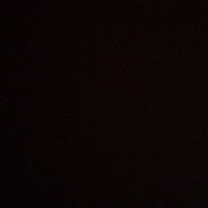 Meet your Posher, Dilayni